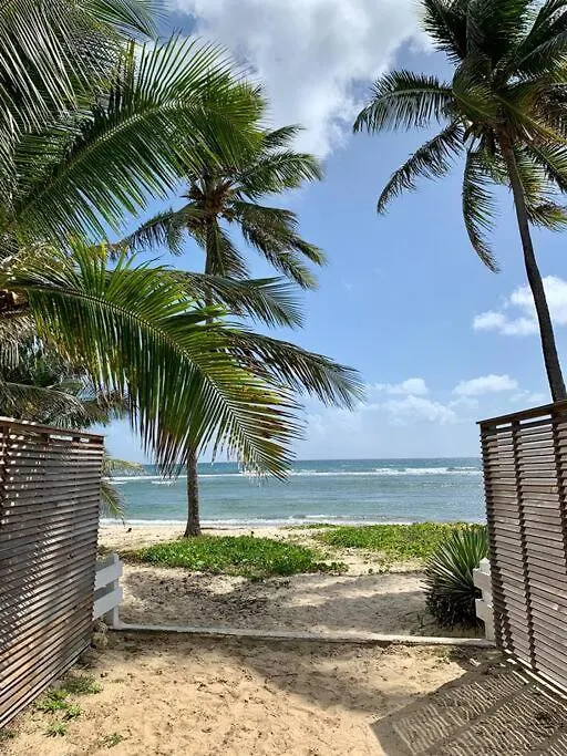 Apartment Le Joli Cocon Caribeen En Bord De Mer Saint-Francois
